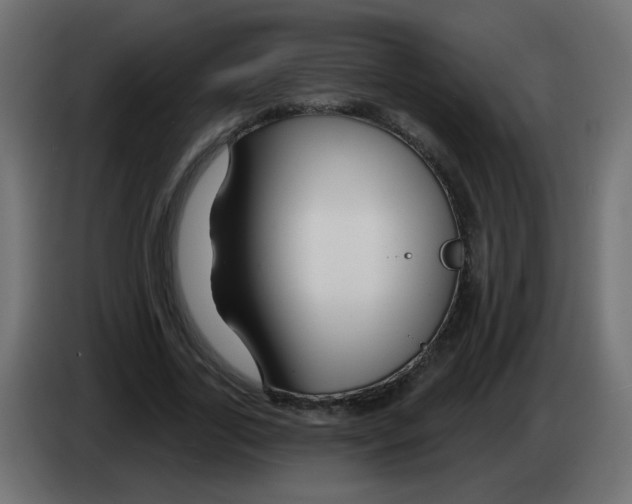 X0000083020731200703022003