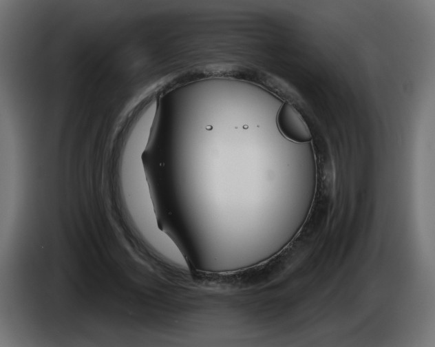 X0000083020732200703022003