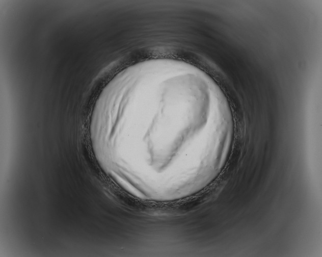 X0000083020733200703022003