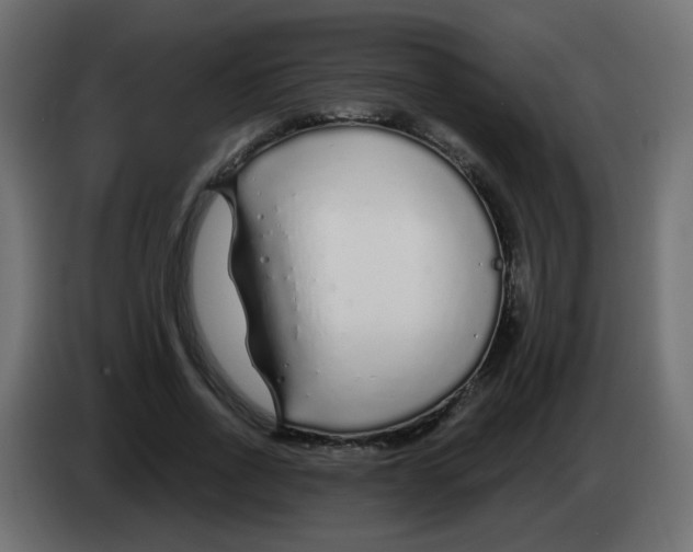 X0000083020734200703022003