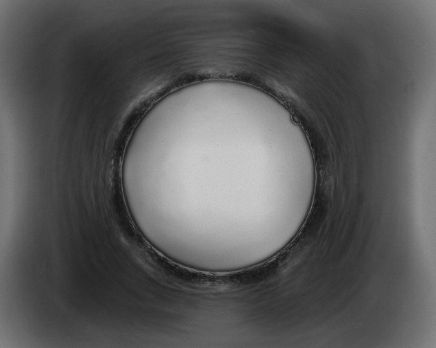 X0000083020735200703022003