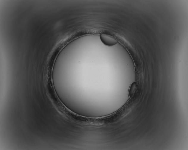 X0000083020736200703022003