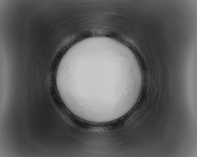 X0000083020738200703022003