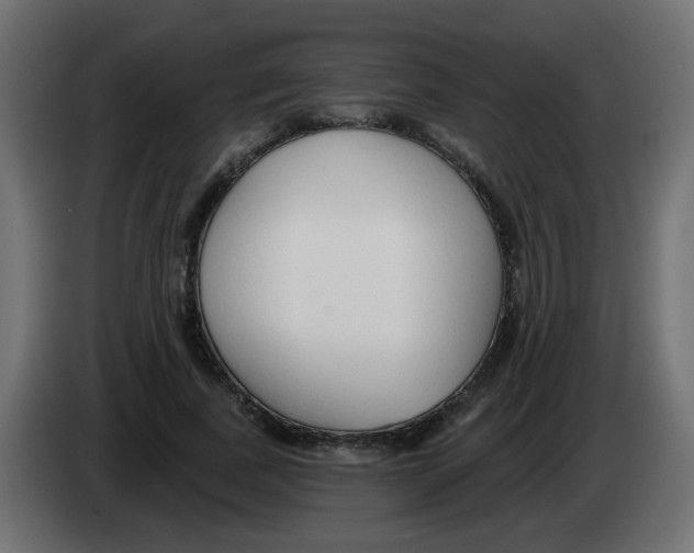 X0000083020739200703022003