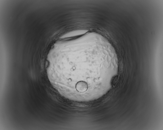 X0000083020741200703022003