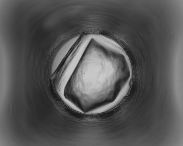 X0000083020742200703022003