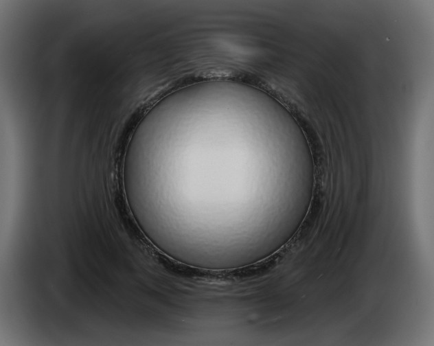 X0000083020743200703022003