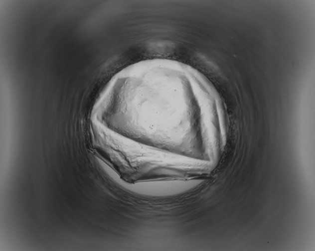 X0000083020745200703022003