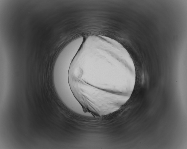 X0000083020746200703022003