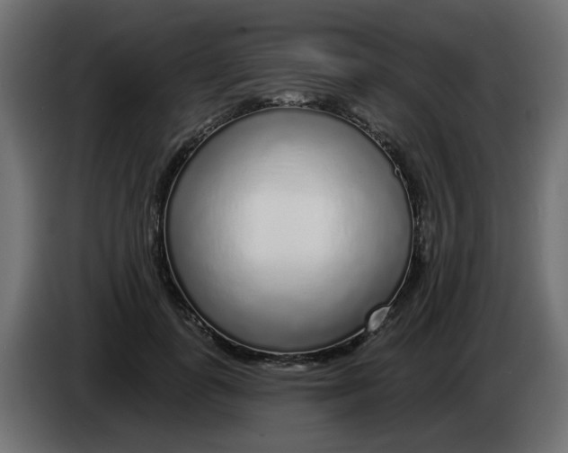 X0000083020747200703022003