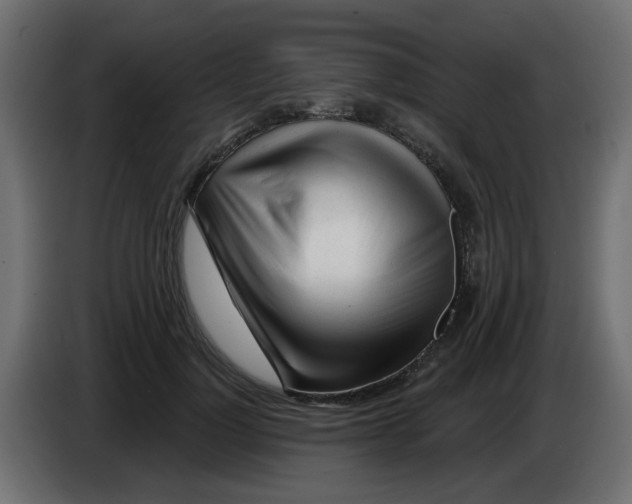 X0000083020748200703022003