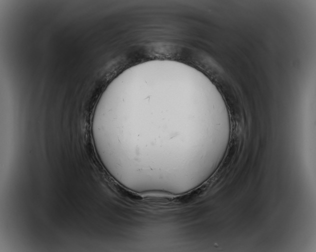 X0000083020749200703022003