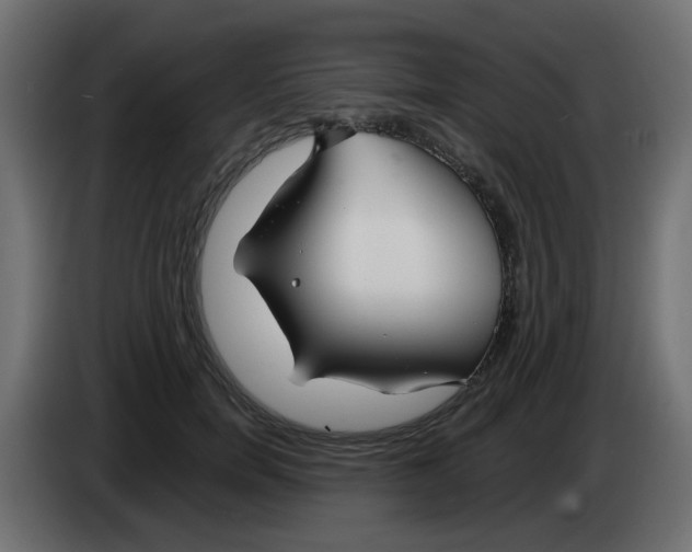 X0000083020750200703022003