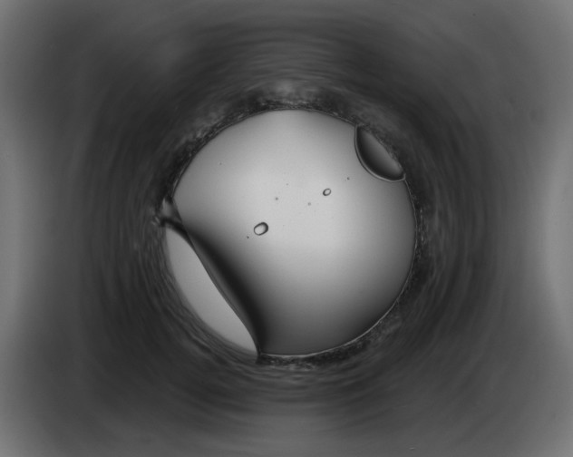 X0000083020752200703022003