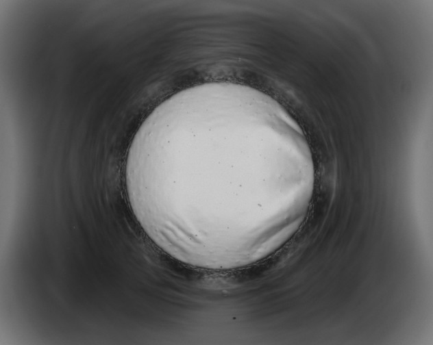 X0000083020753200703022003