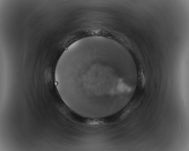 X0000083020754200703022003