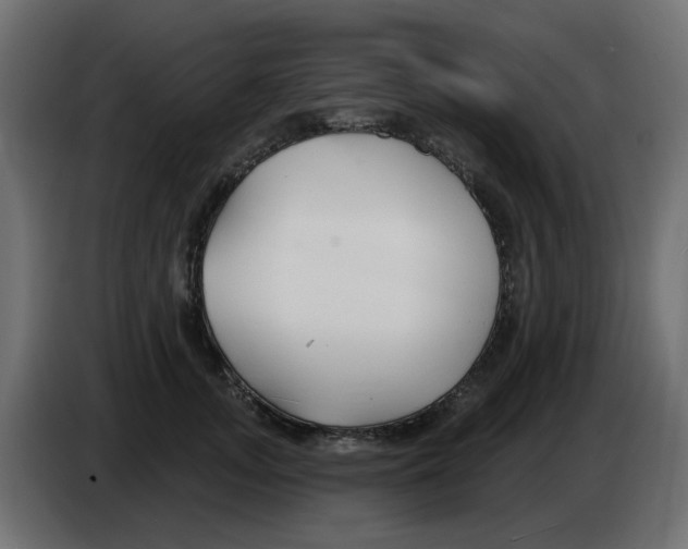 X0000083020755200703022003