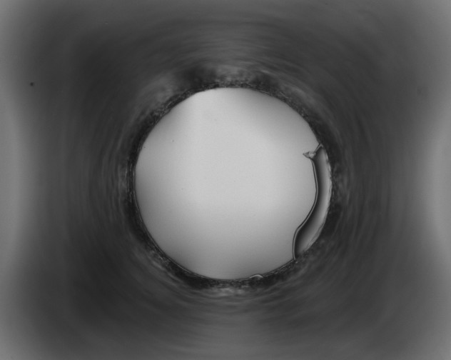 X0000083020756200703022003