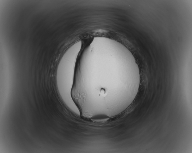 X0000083020758200703022003