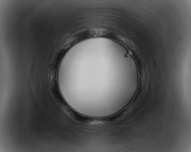 X0000083020759200703022003