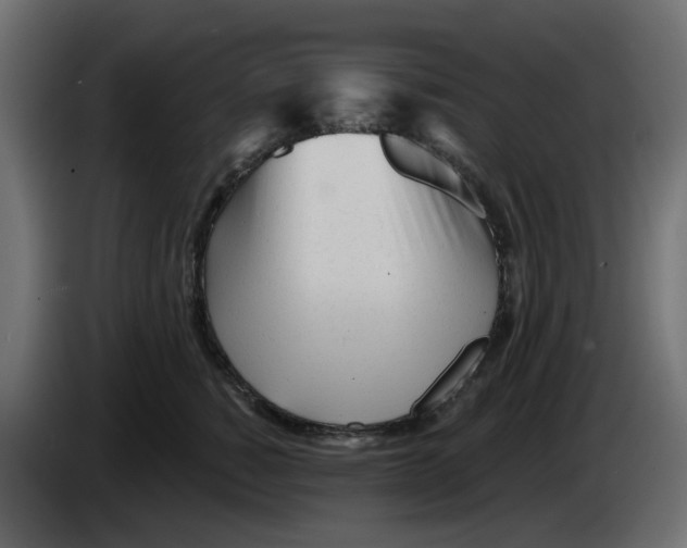 X0000083020760200703022004