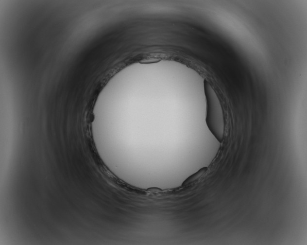 X0000083020764200703022004