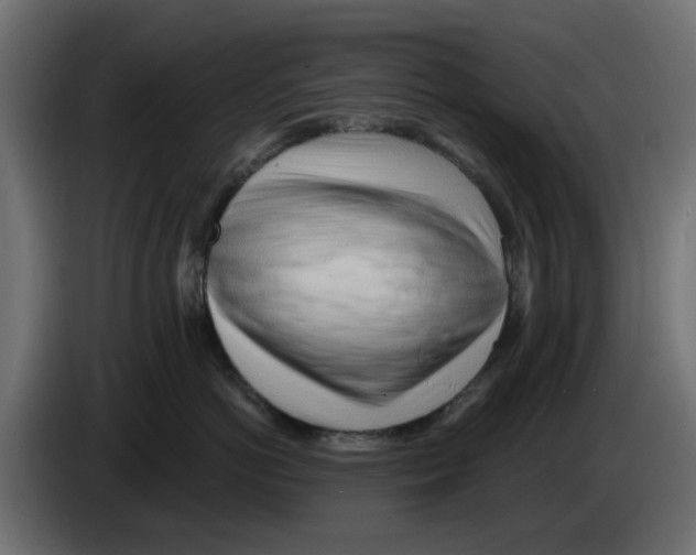 X0000083020766200703022004