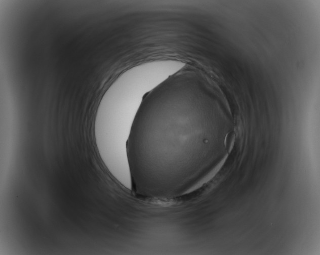 X0000083020767200703022004