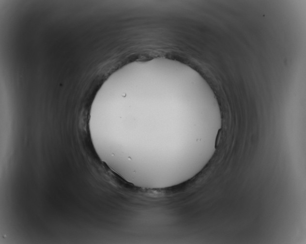 X0000083020768200703022004