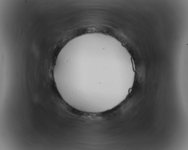 X0000083020770200703022003