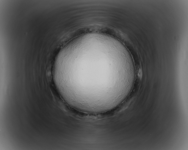 X0000083020771200703022003