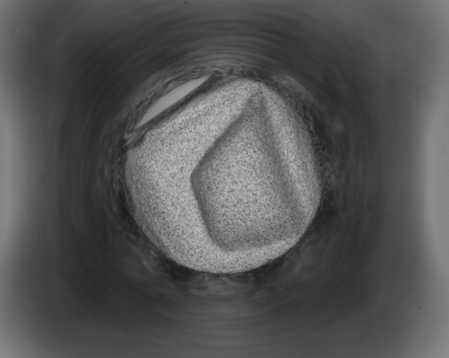 X0000083020774200703022003