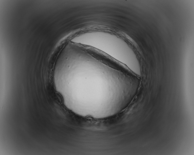 X0000083020775200703022003