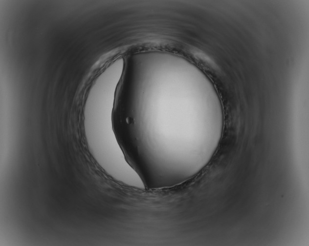 X0000083020776200703022003