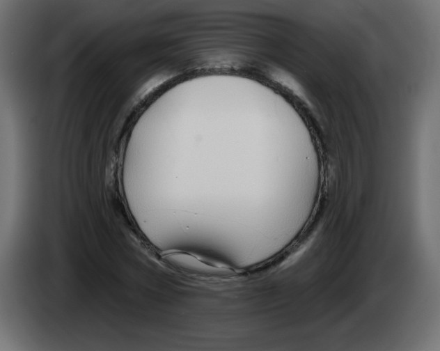 X0000083020778200703022003