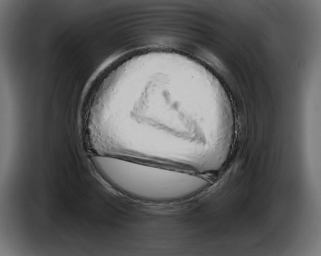 X0000083020780200703022003