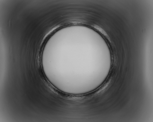 X0000083020782200703022003