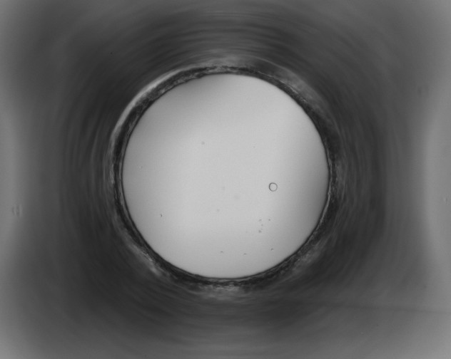 X0000083020784200703022002