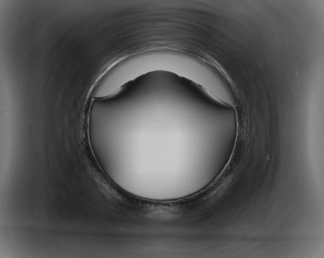 X0000083020786200703022002