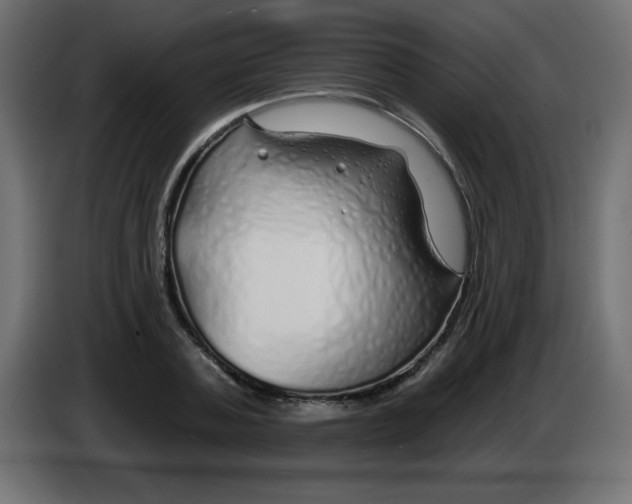 X0000083020787200703022002