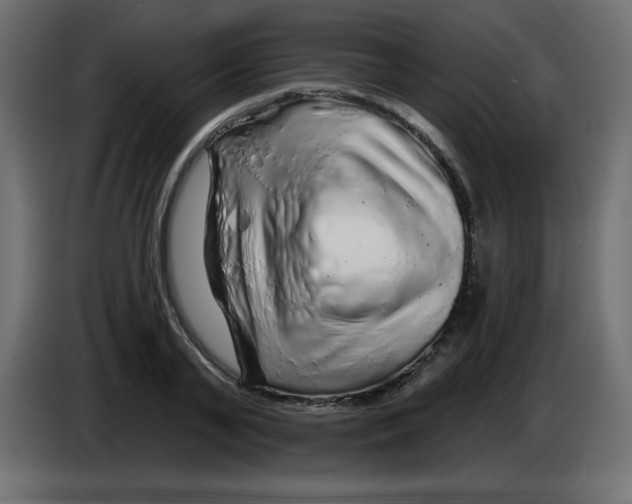 X0000083020791200703022002