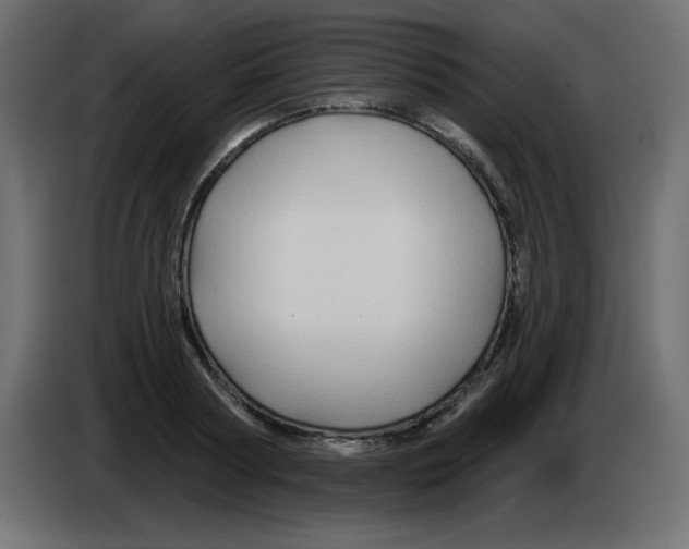 X0000083020794200703022002