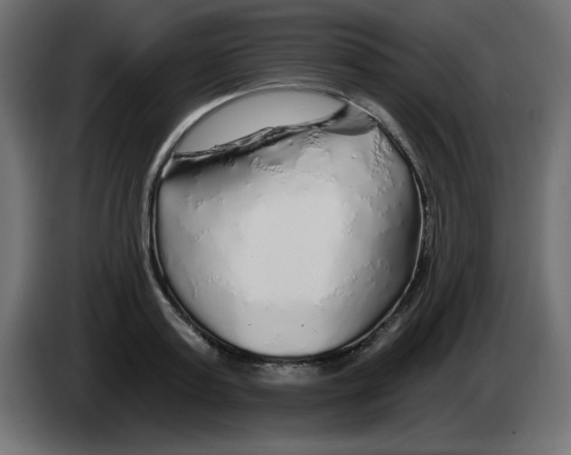 X0000083020795200703022002