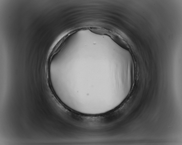 X0000083020796200703022002