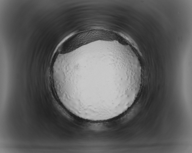 X0000083020798200703022002