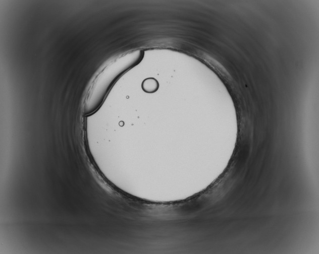 X0000083020800200703022002