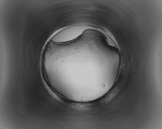 X0000083020803200703022002