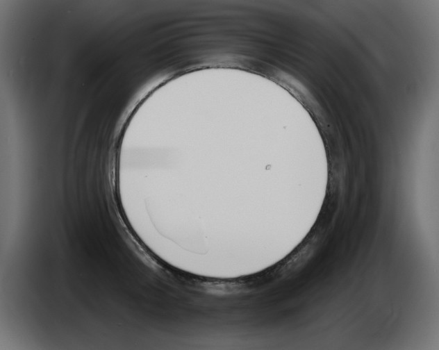 X0000083020804200703022002