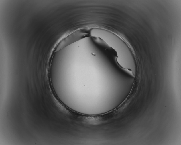 X0000083020805200703022002