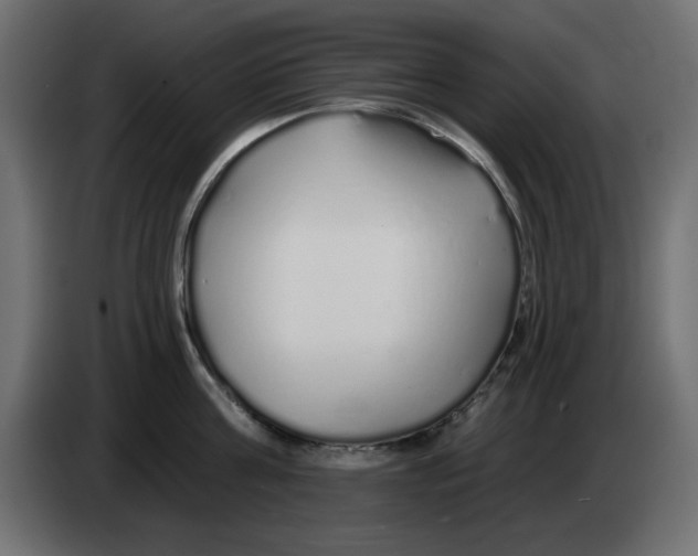 X0000083020811200703022002